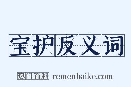 宝护反义词是什么意思的图片